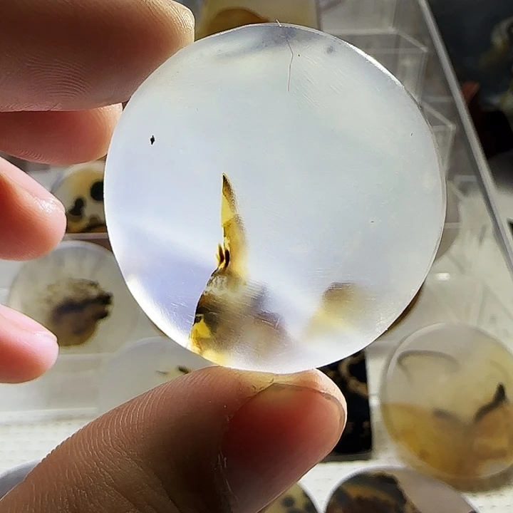 玛瑙/玉髓未镶嵌珠宝奇石