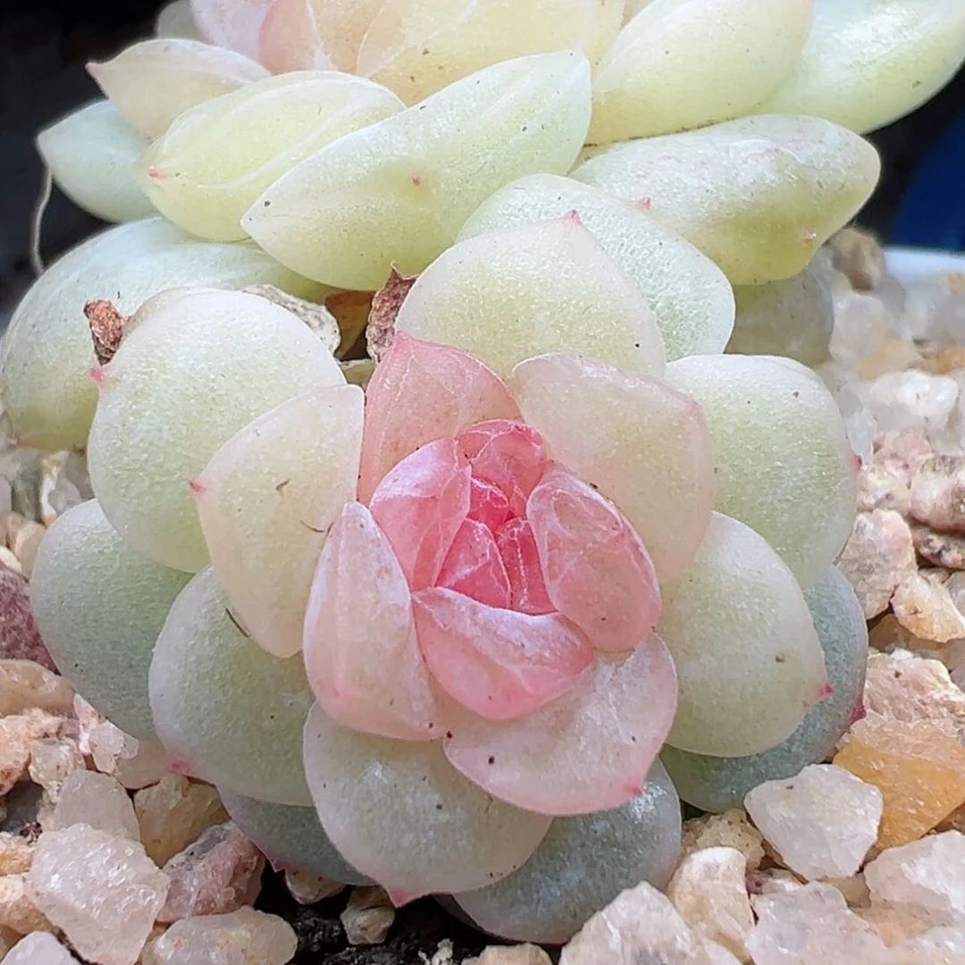 【闪购商品】202号哈哈哈