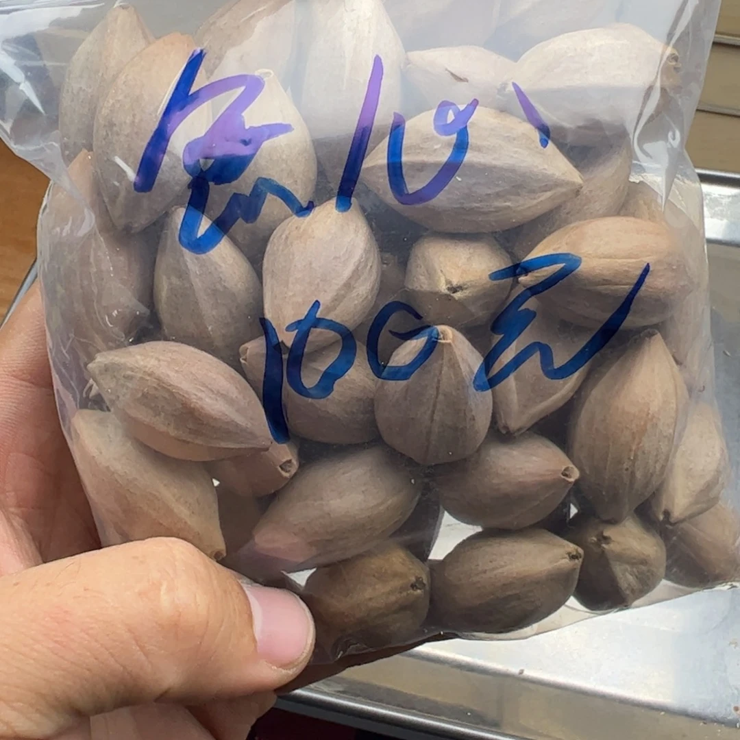 無***-橄榄核手串/手链1.7-1.9+的老挝橄榄核原料0.6斤