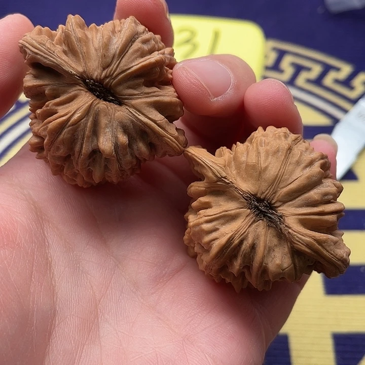 文玩核桃把件核桃