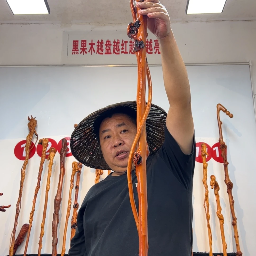 道***然黑果木其他黑果木765
