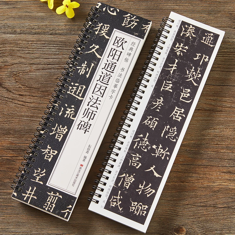 欧阳通道因法师碑近距离临摹字卡楷书原大近原帖入门楷书毛笔字帖