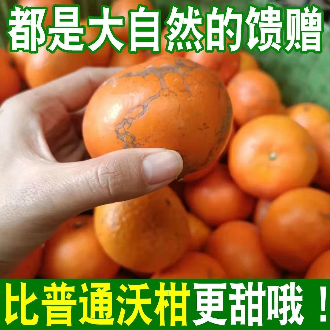 云南高山沃柑当季新鲜水果清香甘甜皮薄多汁橘子特大果9斤5斤