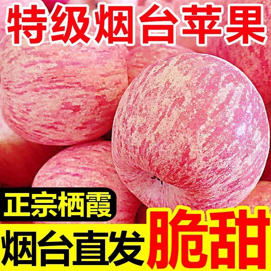 【新果上市】2025正宗山东烟台栖霞红富士苹果脆甜应季水果原产地发