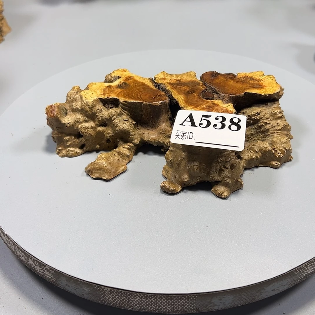 大果紫檀（缅甸花梨）草**飞