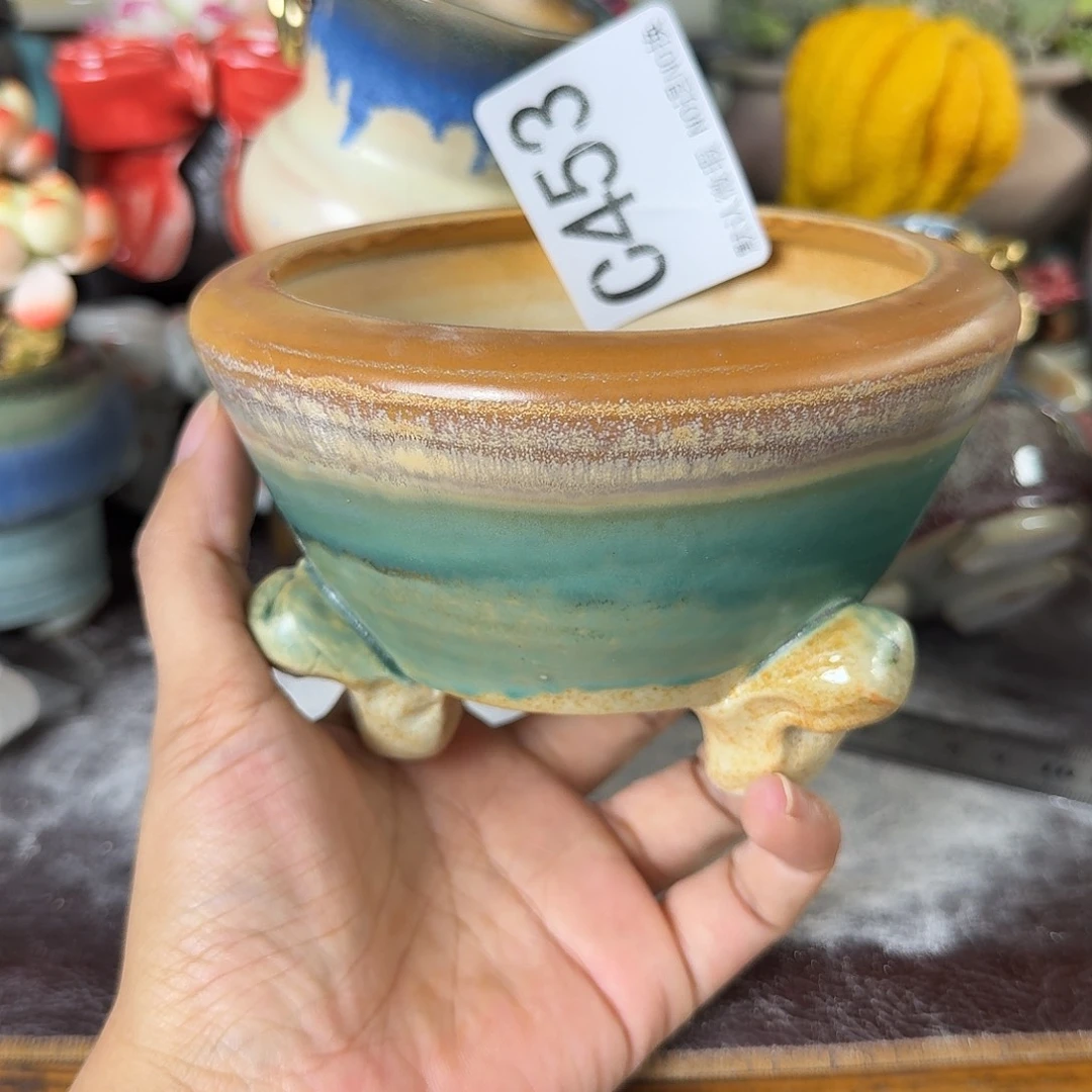 重庆小燕子欢迎大家453