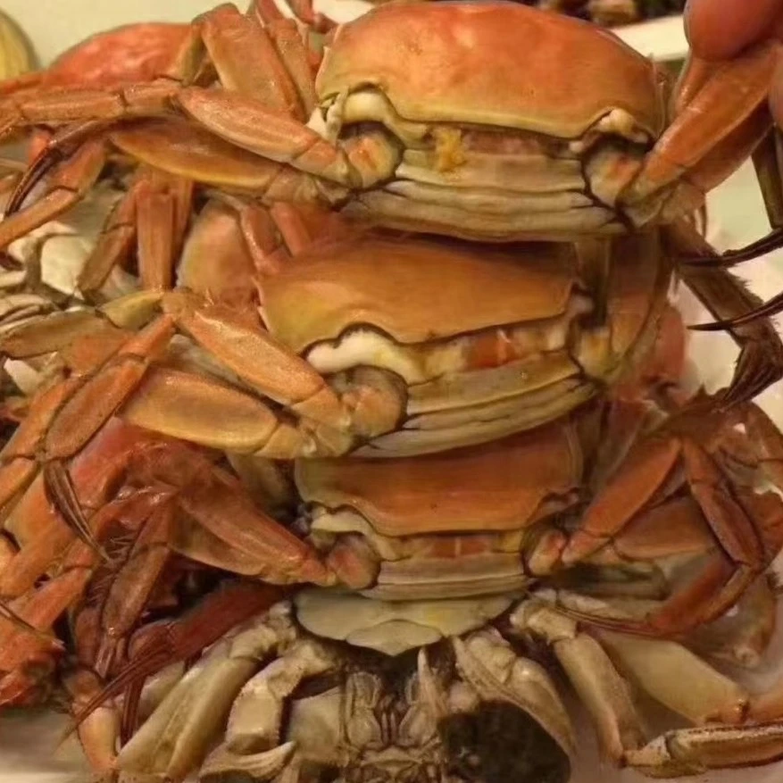 江苏固城湖(共10只母蟹)/份，红膏精品大闸蟹 河蟹 母蟹，规格1.5-1.8两/只