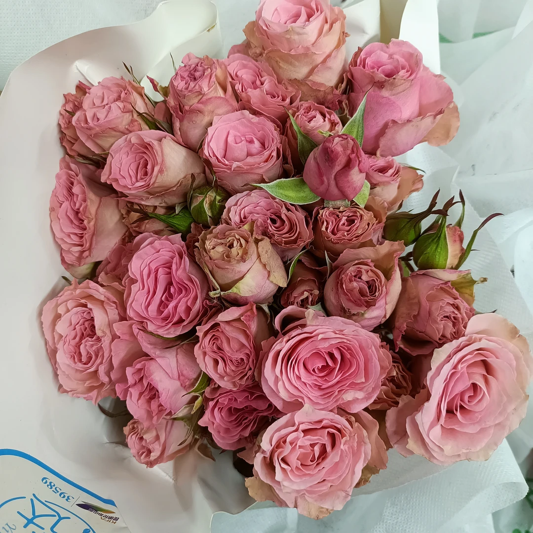 【露露公主多头玫3支】京东包邮到家