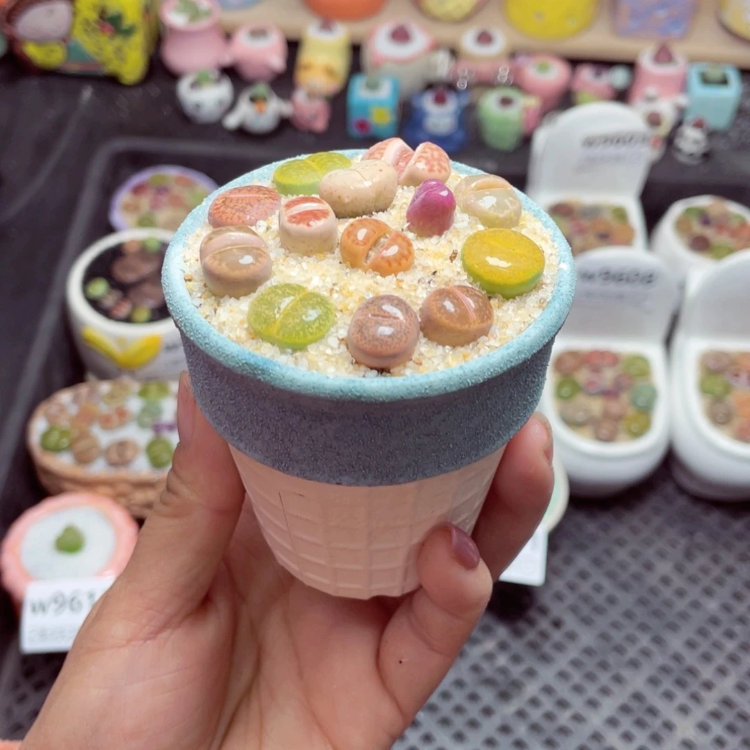 w9614 带盆土发货-零下地区拍保温箱