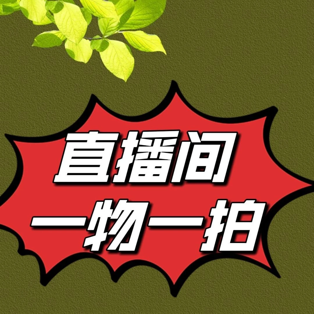 一物一拍  盆栽植物 春季栽培 庭院阳台种植