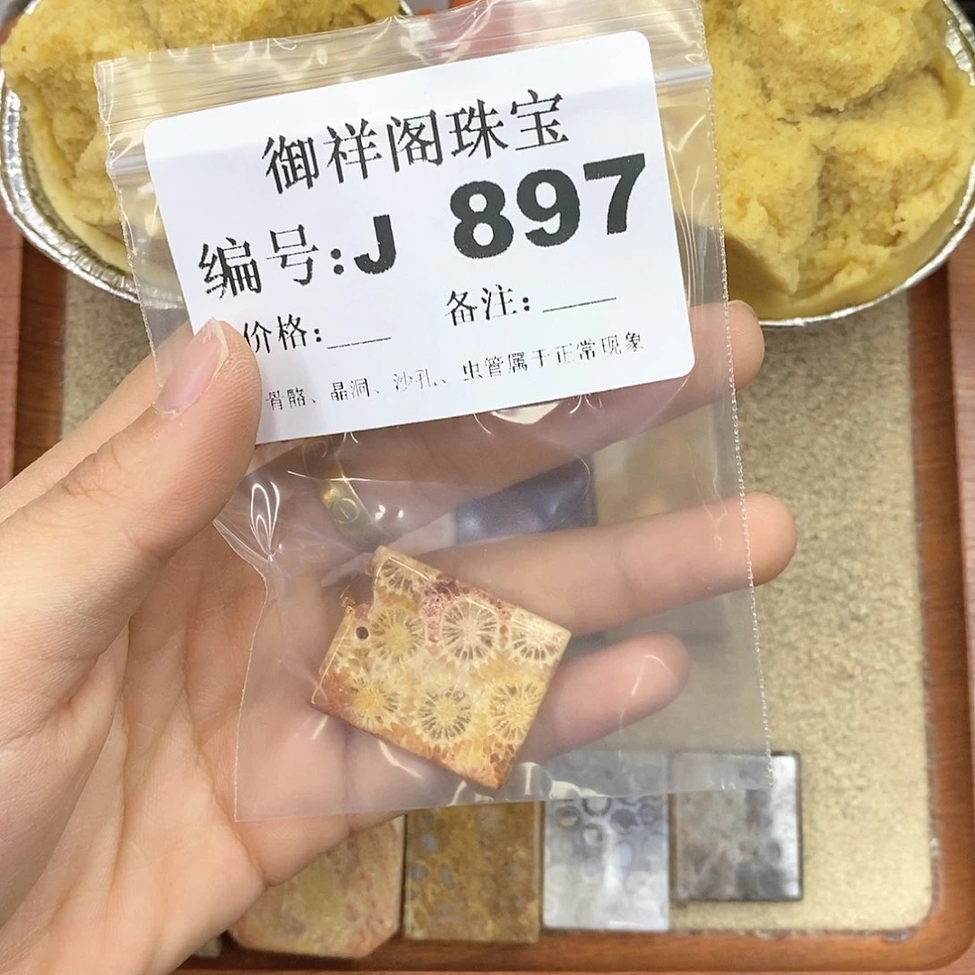 硅化珊瑚（珊瑚玉）颈饰未镶嵌一**存