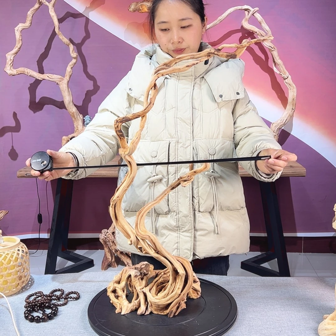 O***钱木天然杜鹃根根艺摆件