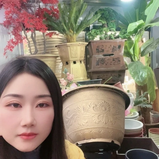 红陶阿**姐凤纹50花盆2个 有孔