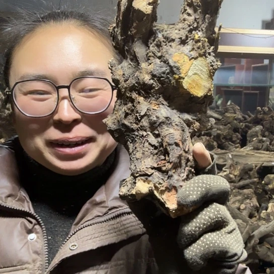 香榧木他*石火琉璃的毛料摆件