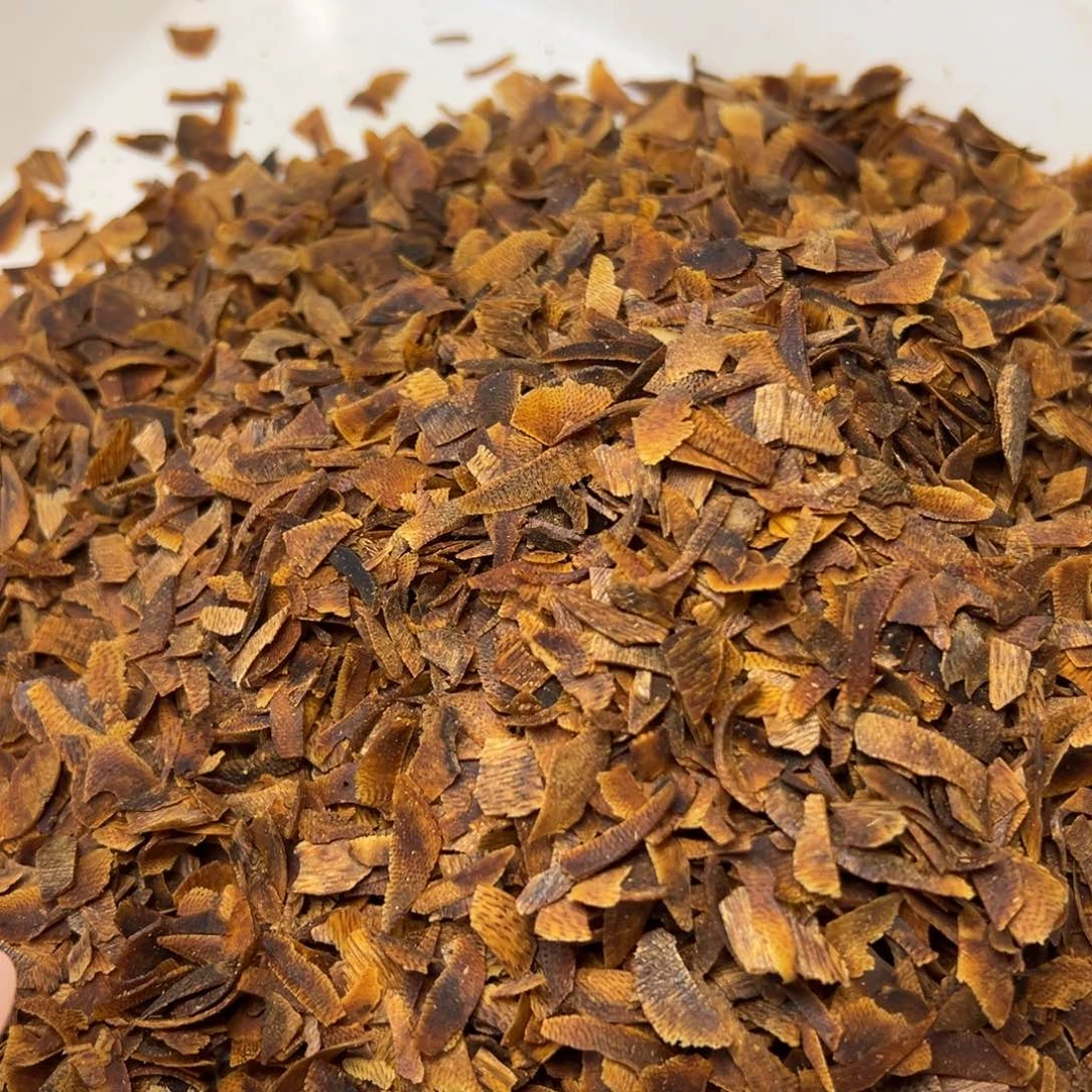 树脂制品人****干海南大山野原母树老白棋包壳沉水切片10克