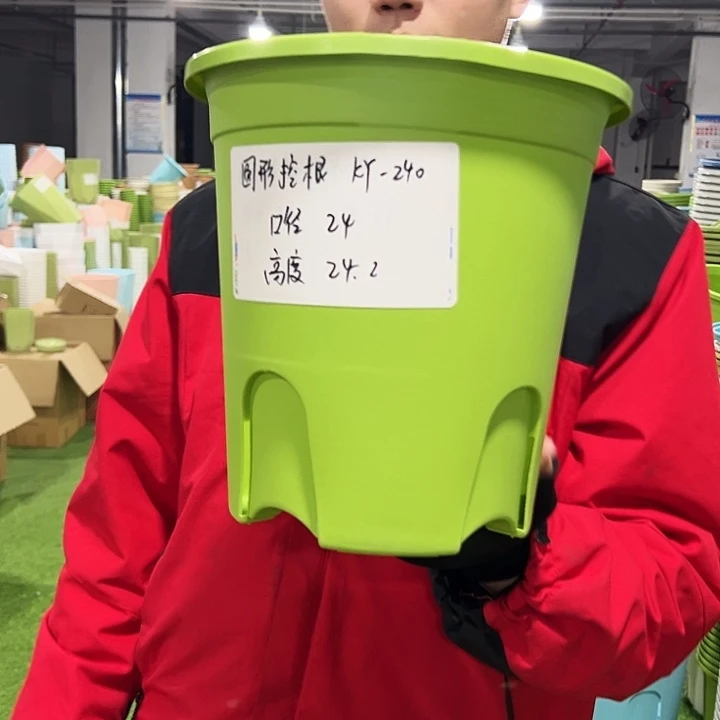 正品圆控口24高24果绿色8只无托