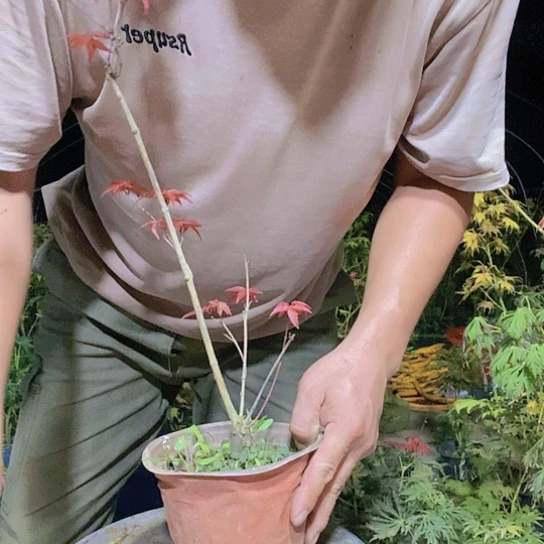 完全开放你们都会有好心情