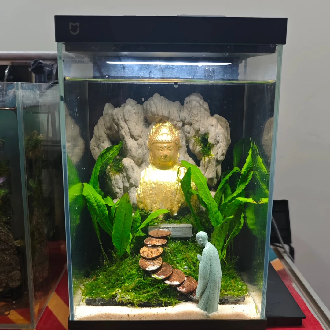 小米二代25方以上鱼缸造景整体南美生态真水草专用一体式整体景观