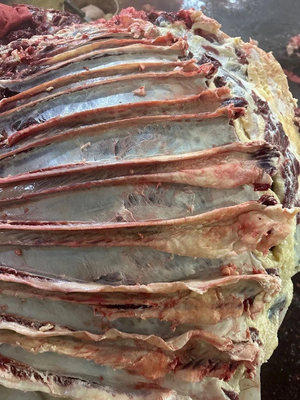 林区跑山溜达散养笨牛肉改价连接