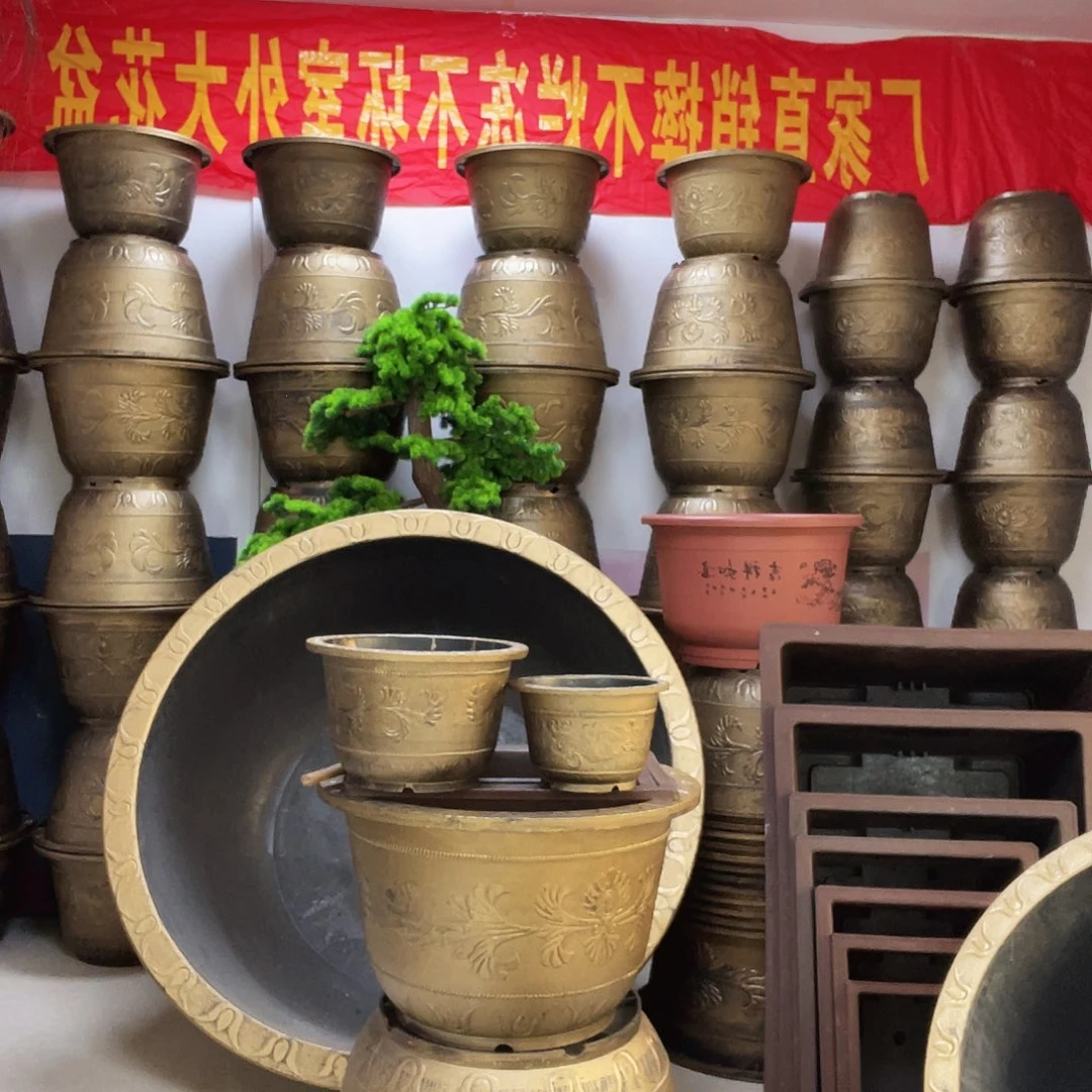6个40盆栽！有孔有孔！