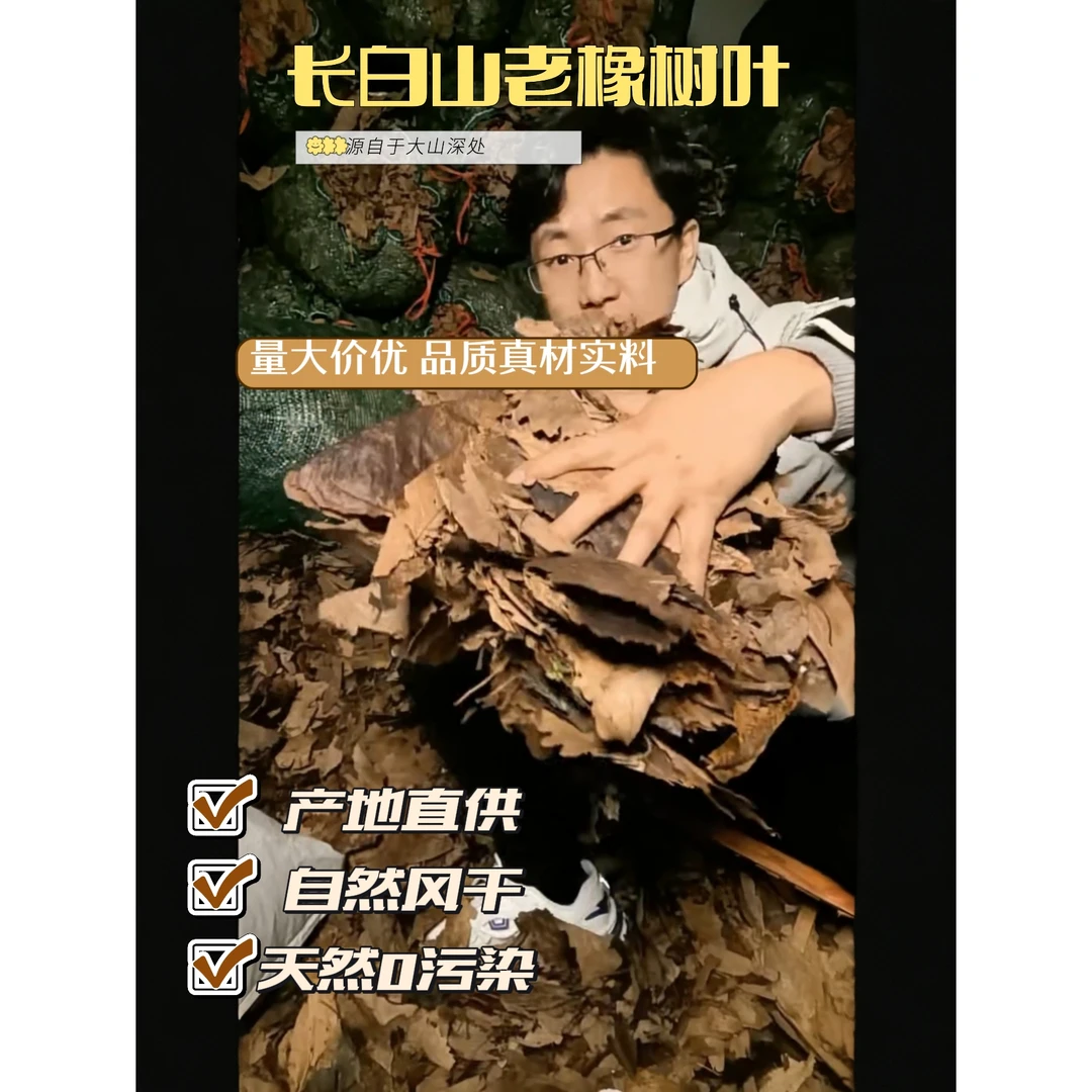 兰苑专用橡树叶原叶（生土）