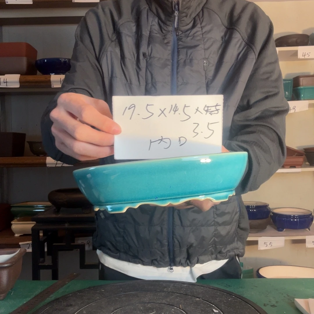 反反复复体育局发太阳