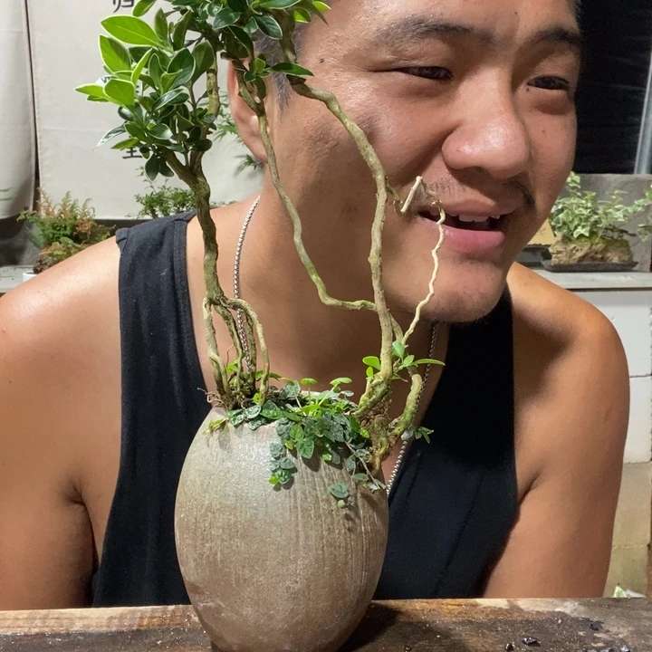 ****‖无花朵退款拉黑拉黑126