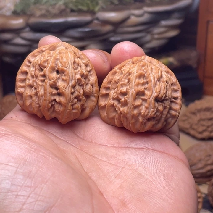 @****?38全品角白未打底