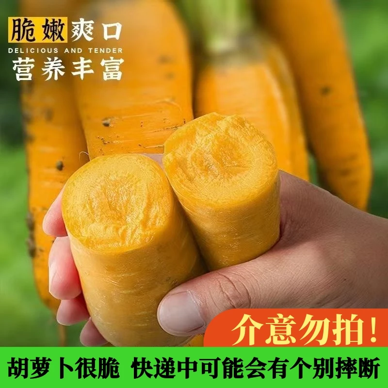 新鲜黄胡萝卜山西黄土高原种手抓饭带泥黄心蔬菜现挖现发脆甜可口