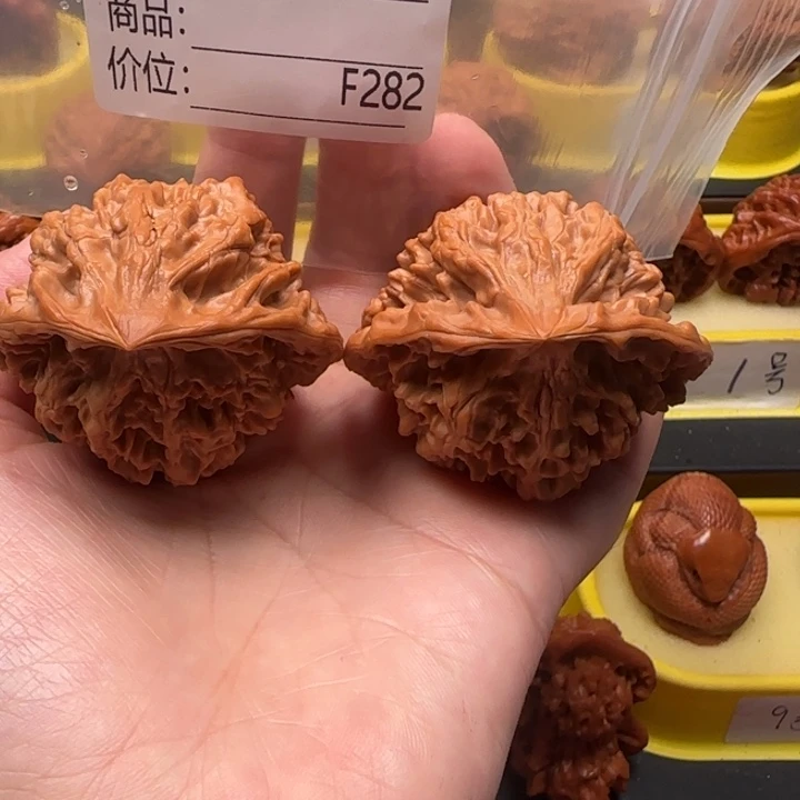 志***在核桃蛇王51蛇王蛇王