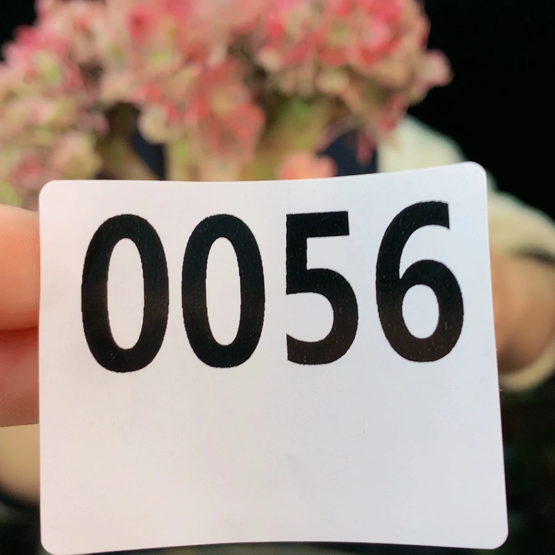 sssssssssssssssssss56