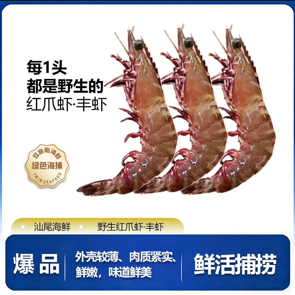 汕尾海鲜【红爪虾•丰虾 13-15头左右/斤】拖网有松头部分带膏海虾