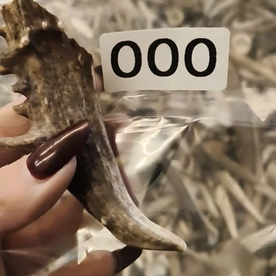 半***雨鹿角鹿角鹿角鹿角鹿角鹿角