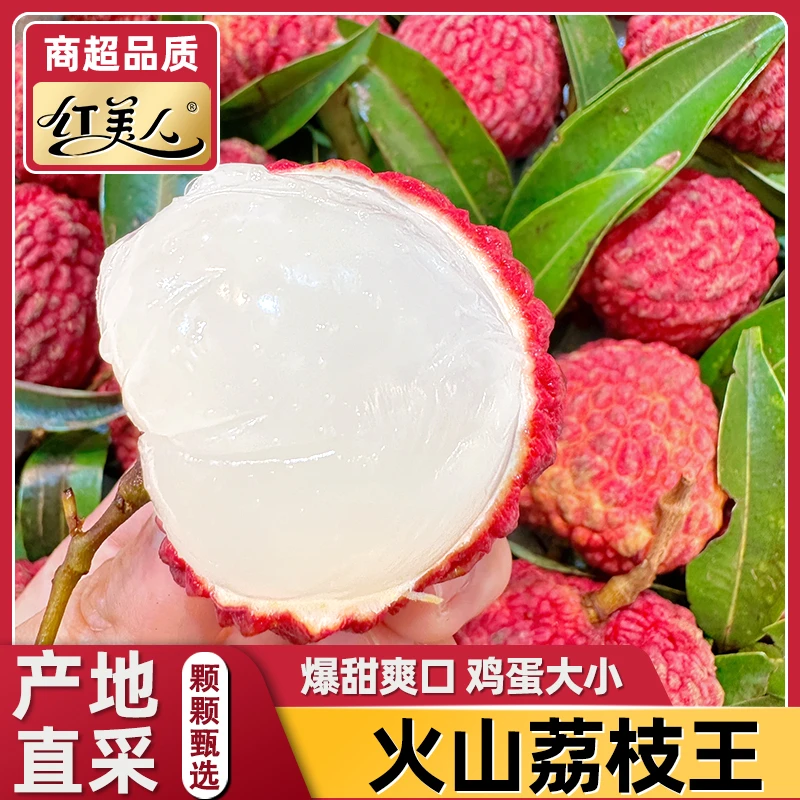 【冷链速运】荔枝王香甜福建产区现摘新鲜多汁当季水果直