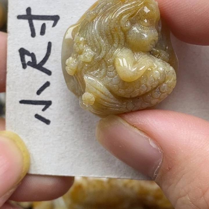 硅化珊瑚（珊瑚玉）未镶嵌颈饰