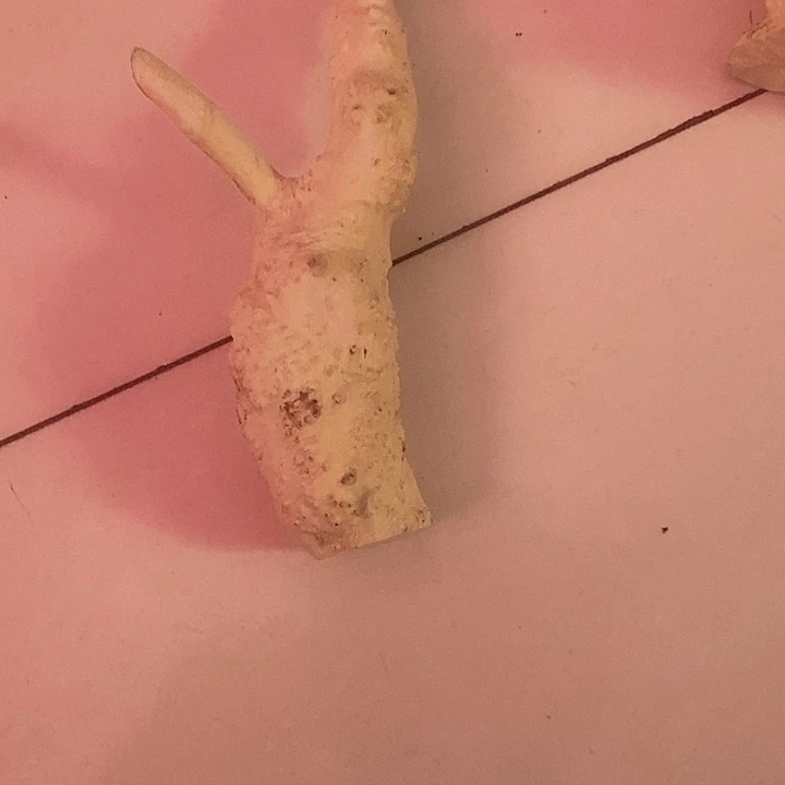 王***匠黄杨木等多种木材