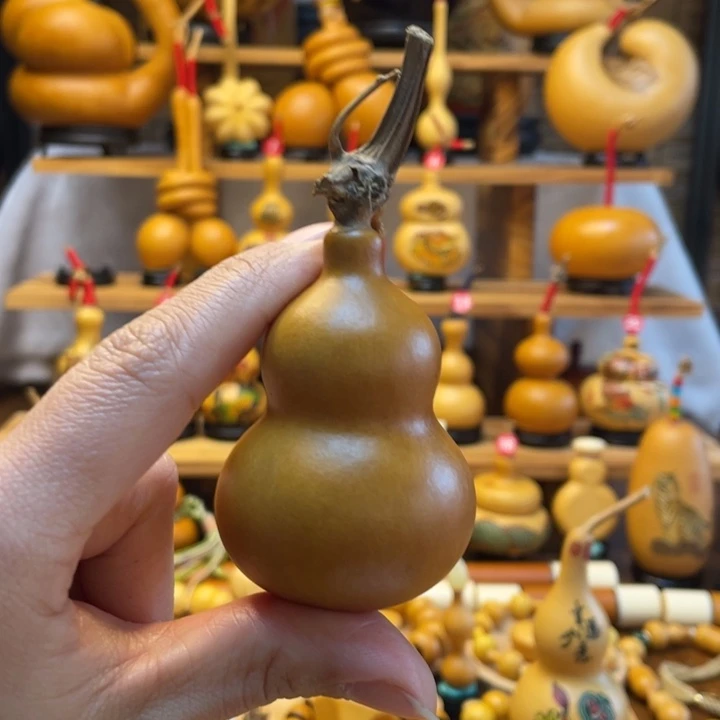 小*丶天然葫芦自然生长小初