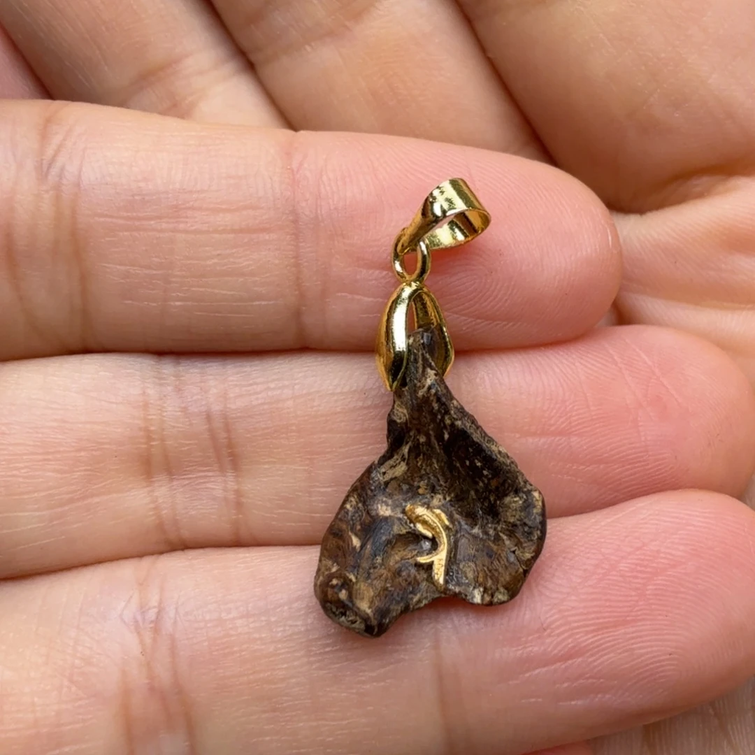 沉香碎屑沉香惠安系沉水小滴溜