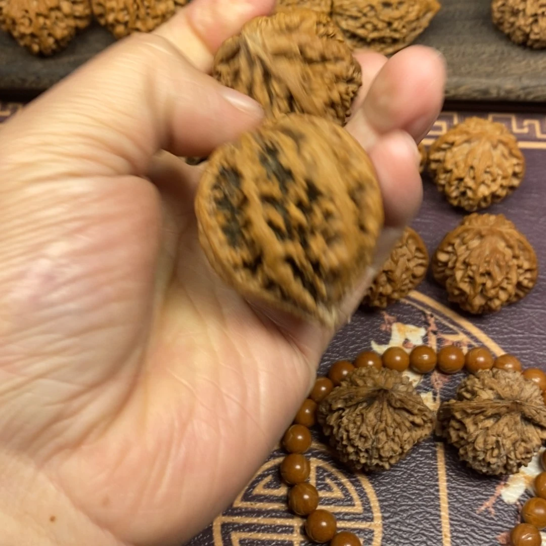 华****华秦岭南侧一处森林火灾