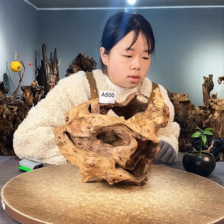 茶盏曾*500株木随行的小根艺