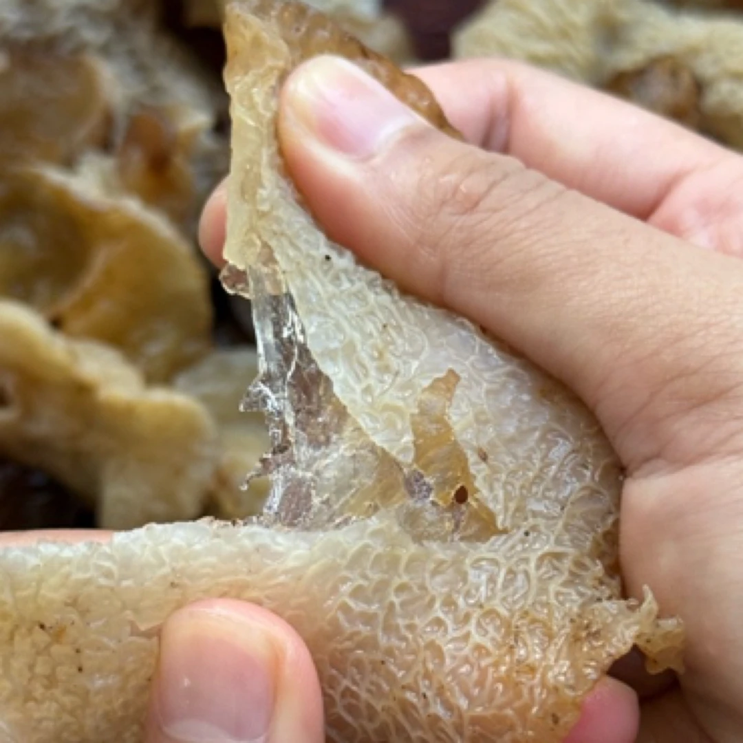 哀牢山野生白木耳野生木耳纯天然自然生长，炒吃凉拌减脂，顺丰快递