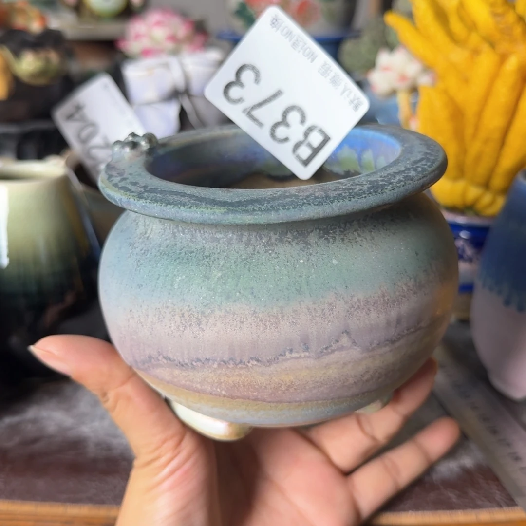 重庆小燕子欢迎大家373