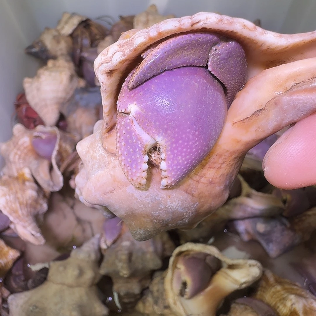 通过我是啊3535的人啦