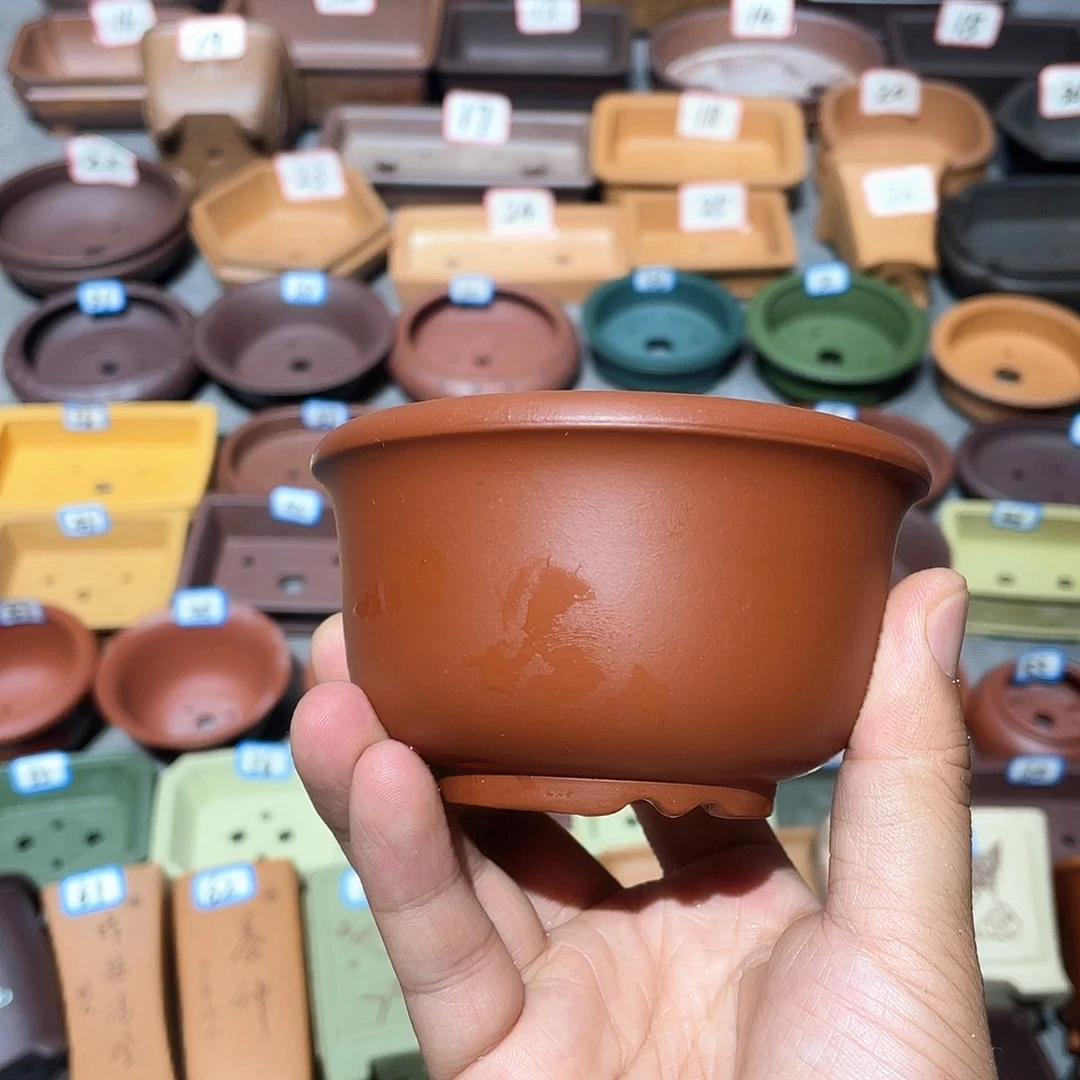 紫砂小盆8*5cmmmm