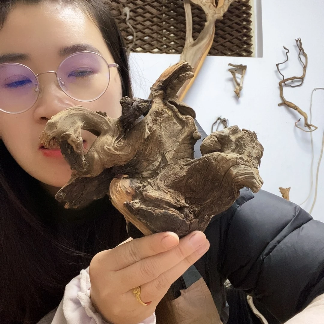 高***平香榧木今天晚上吃什么好吃的