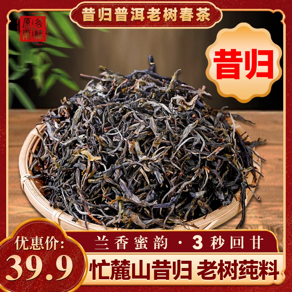 2025年【昔归忙麓山核心产区】老树春茶普洱散茶500g散装普洱茶