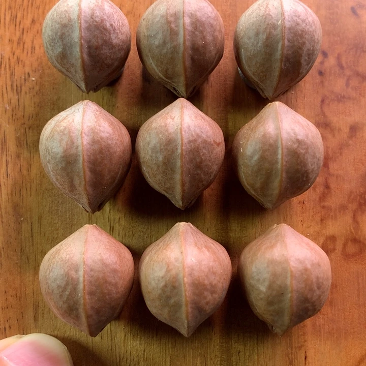 手串/手链橄榄核橄榄核雕，铁核