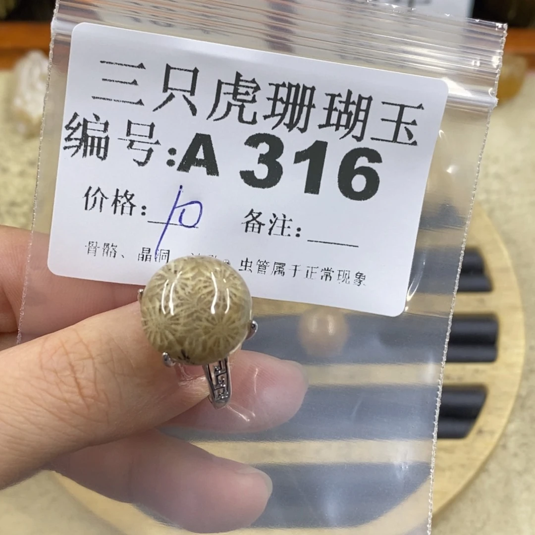 硅化珊瑚（珊瑚玉）1未镶嵌?***?