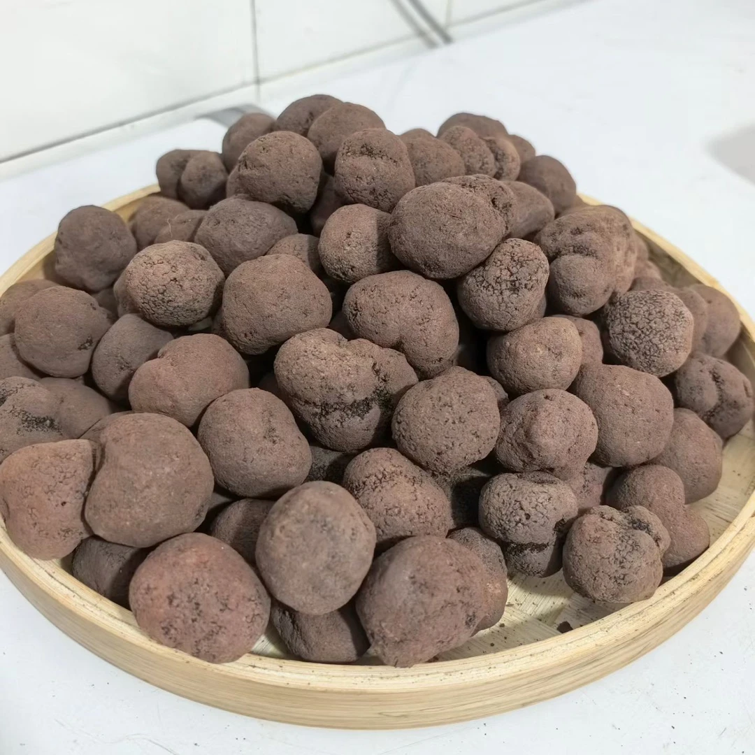云南新鲜下山黑松露顺丰包邮到家