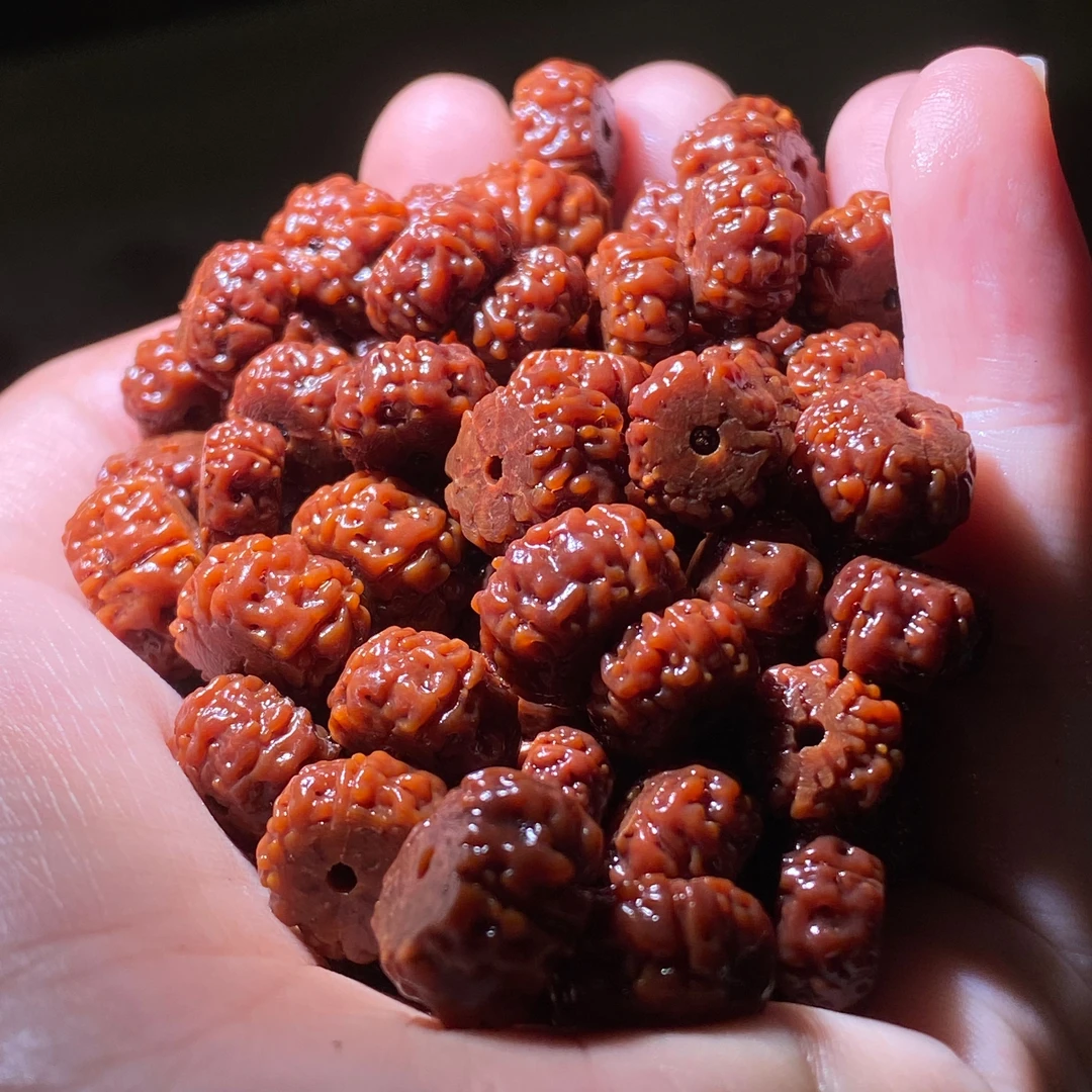 金刚菩提珠串小金刚老树王薄切散籽一包